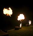 T-20140926-212529_IMG_7506-7a